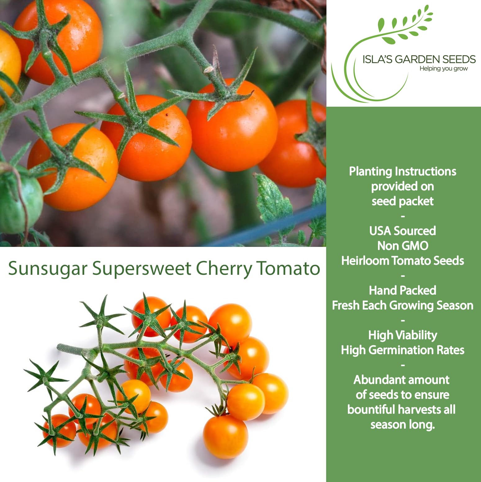 Sunsugar Supersweet cherry tomato on the vine delivers bright orange fruit ideal for salads.