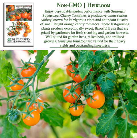 Indeterminate vine growth supports a steady, continuous harvest throughout the warm season.