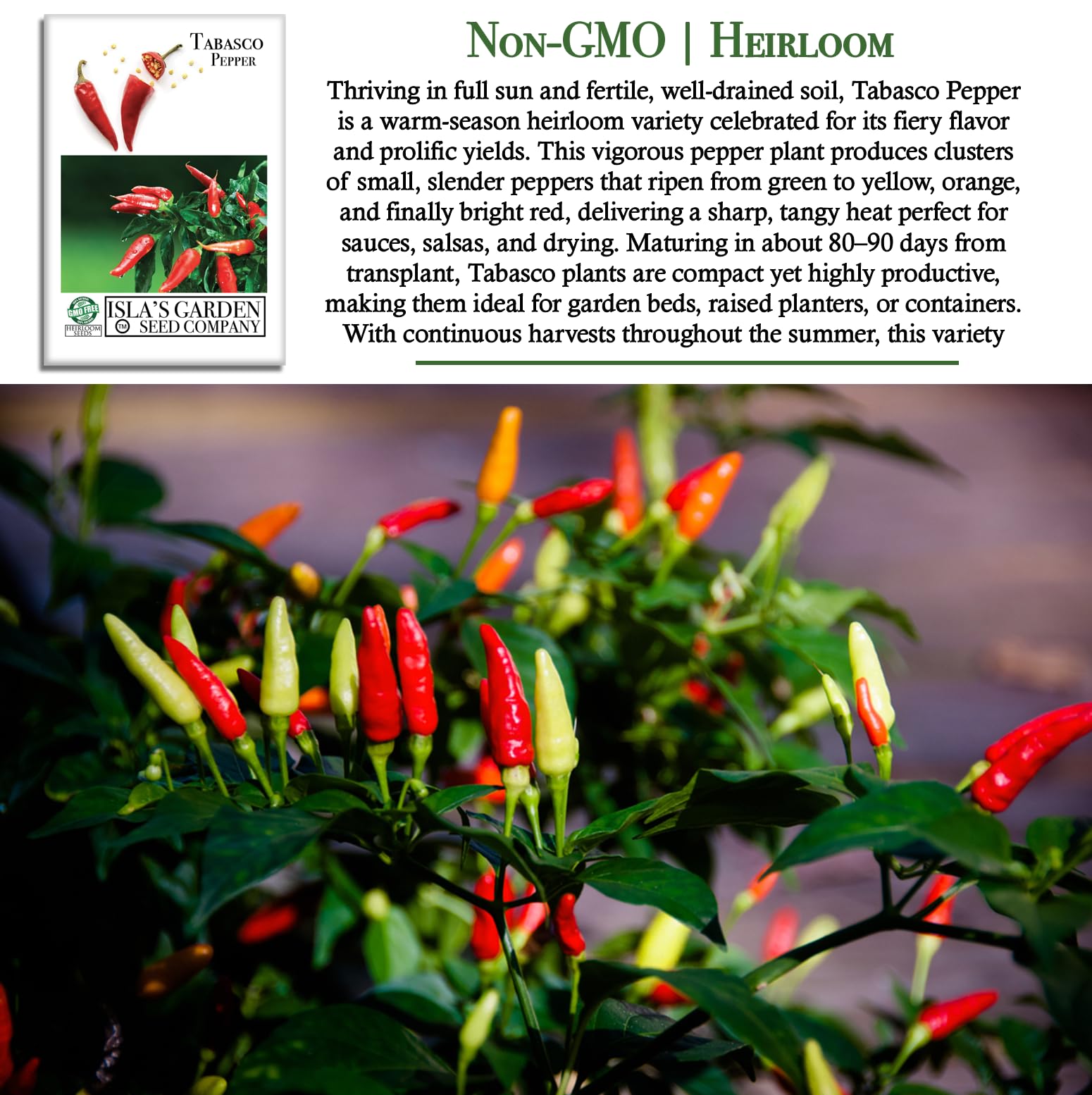 Seed packet for Isla's Garden Seeds Tabasco Red Hot Pepper for home gardeners.