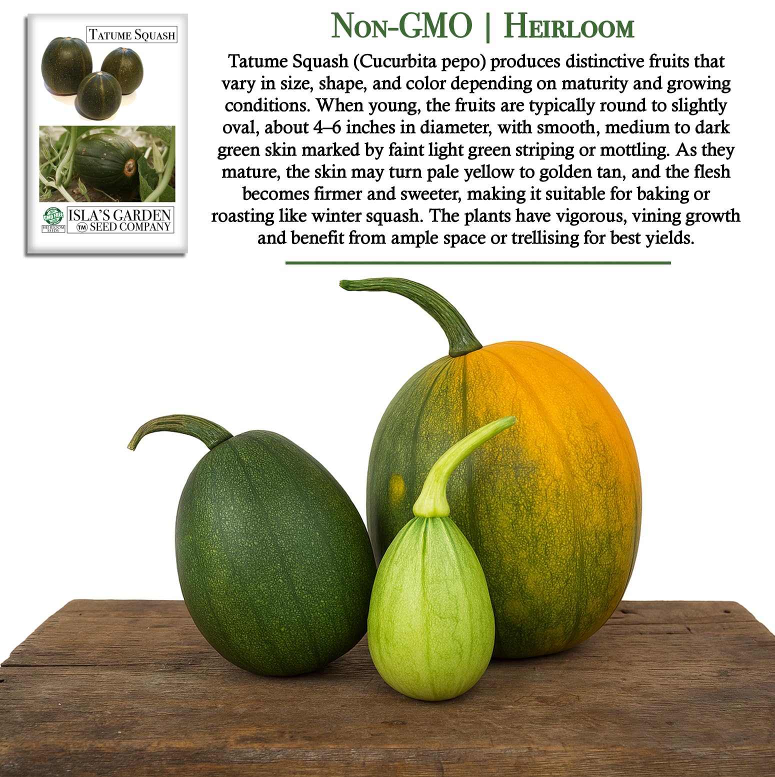 Isla's Garden Seeds Tatume squash germination in 5–10 days under warm conditions