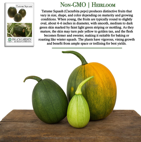 Isla's Garden Seeds Tatume squash germination in 5–10 days under warm conditions