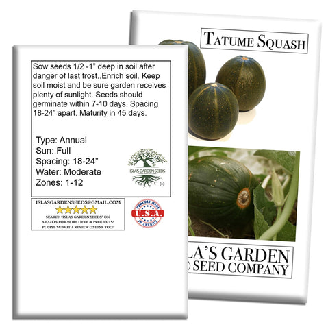 Isla's Garden Seeds Tatume squash mature winter squash for baking