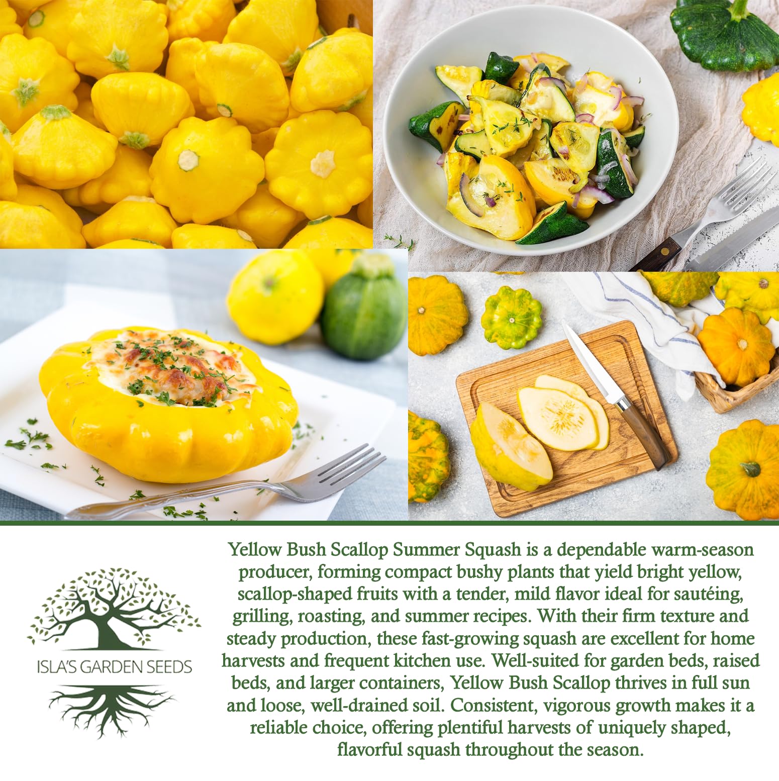 Isla's Garden Seeds warm-season squash ready for a summer harvest.