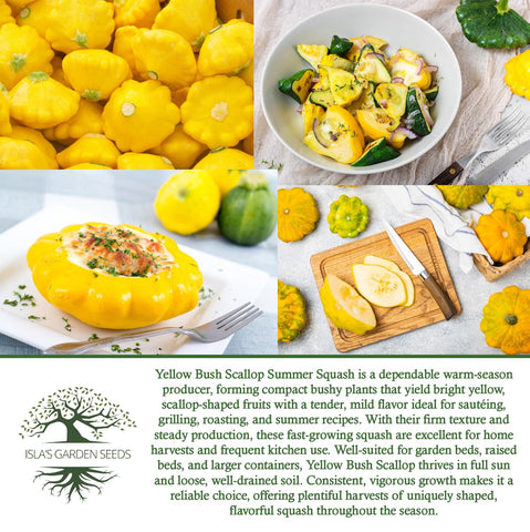 Isla's Garden Seeds warm-season squash ready for a summer harvest.