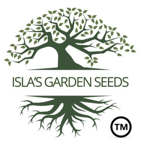 Gift-ready seed packet, ideal gift for gardeners from Isla's Garden Seeds.
