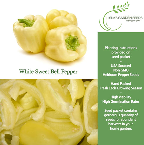 Isla's Garden Seeds white sweet bell pepper on plant, ready to harvest for meals