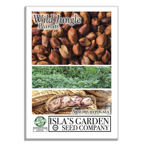 Isla's Garden Seeds Wild Jungle Peanut pods on soil, promising rich flavor for home gardeners.