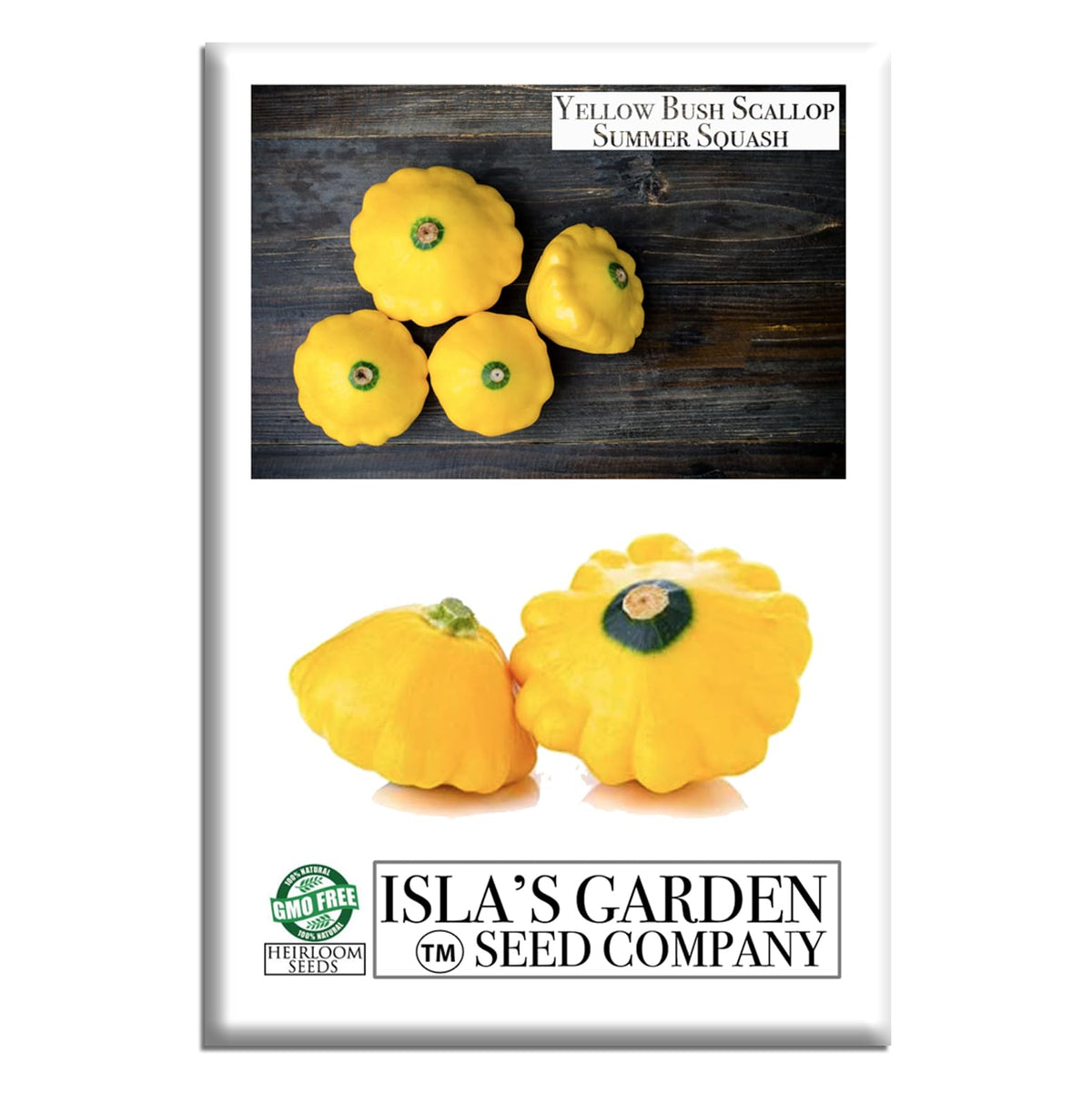 Isla's Garden Seeds yellow bush scallop squash fruit ready to harvest for summer meals.