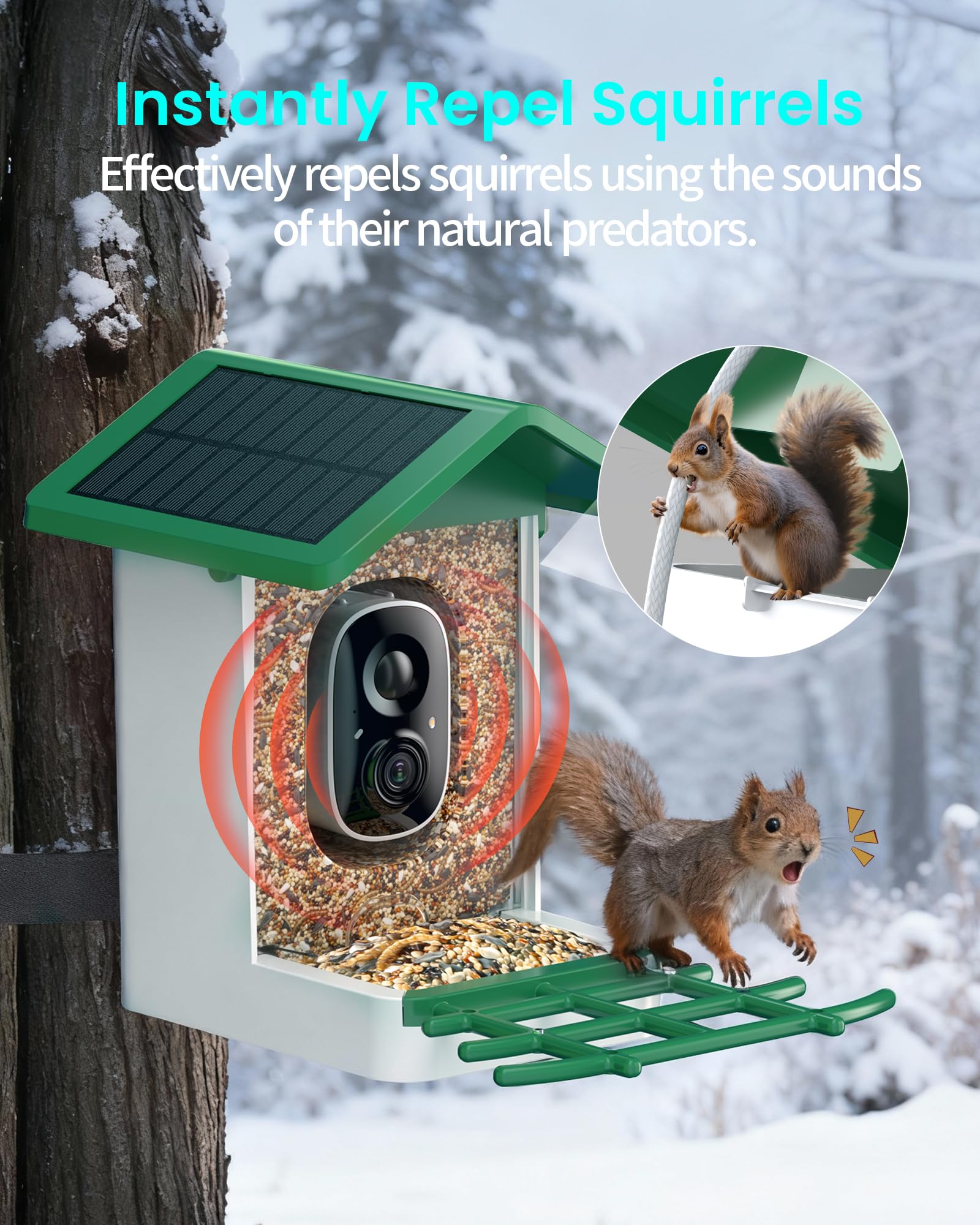 isYoung 2.5K HD night vision captures nocturnal visitors clearly