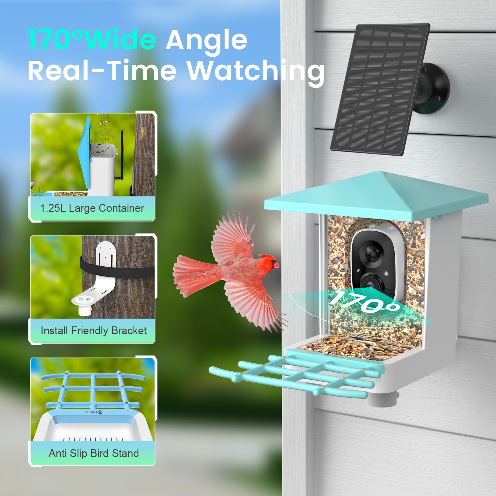 isYoung 170-degree view captures wide scenes of visiting birds