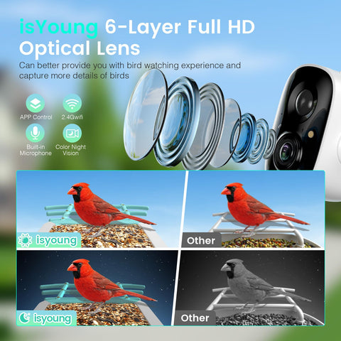 isYoung 2K video camera delivers vivid feather details during daytime and dusk