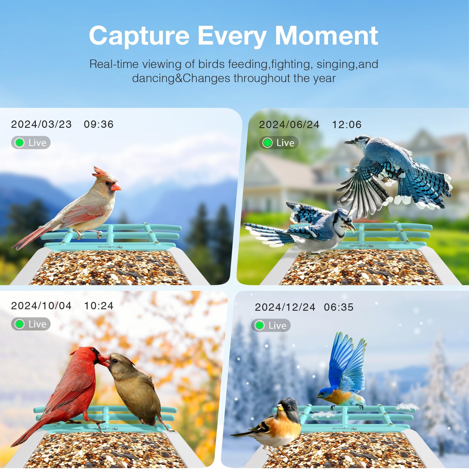 isYoung cloud storage stores bird photos for sharing and memories