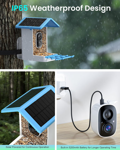 isYoung Smart Bird Feeder AI identification display speeds species cues