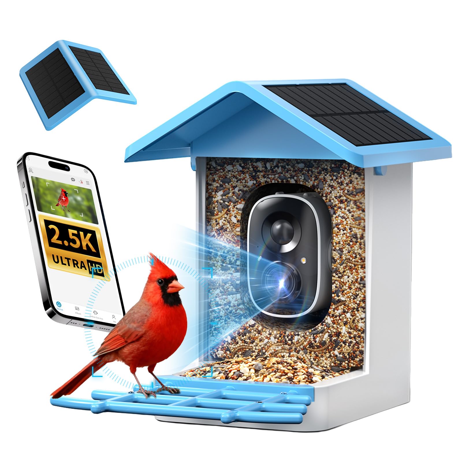 isYoung Smart Bird Feeder camera front view for real-time bird visits