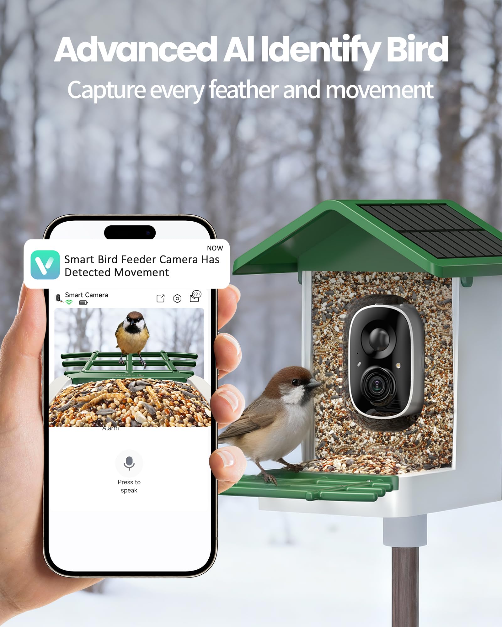 isYoung bird feeder camera side view showing easy mounting and stability