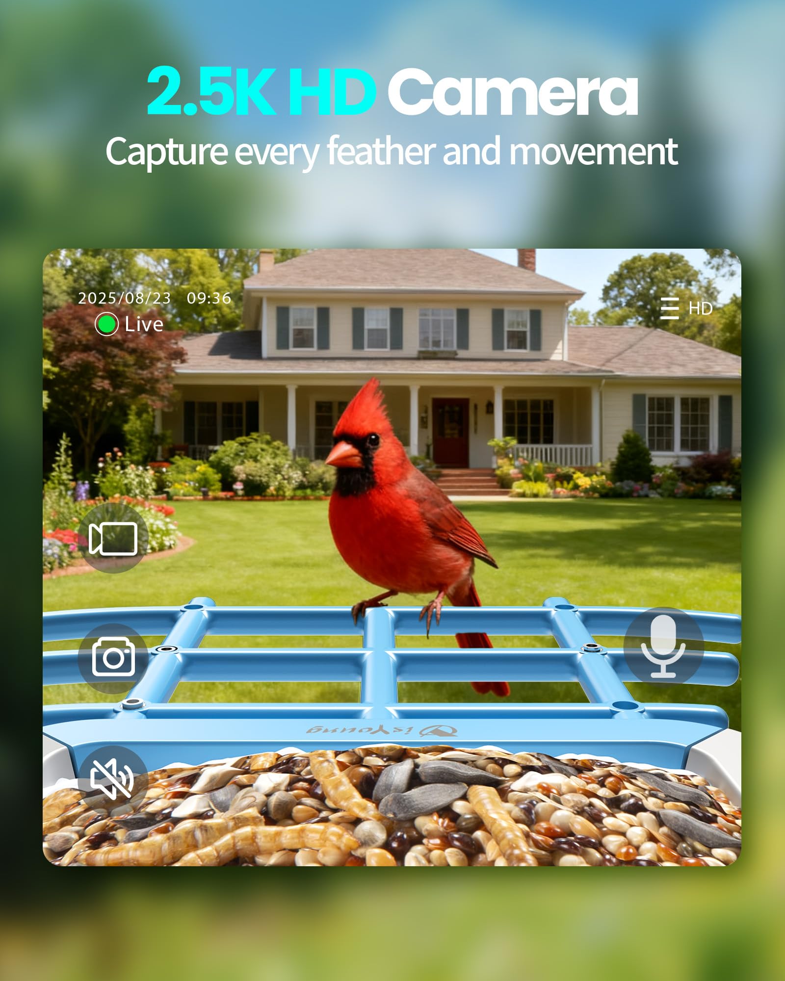 isYoung Smart Bird Feeder IP65 weatherproof shell protects against rain and dust