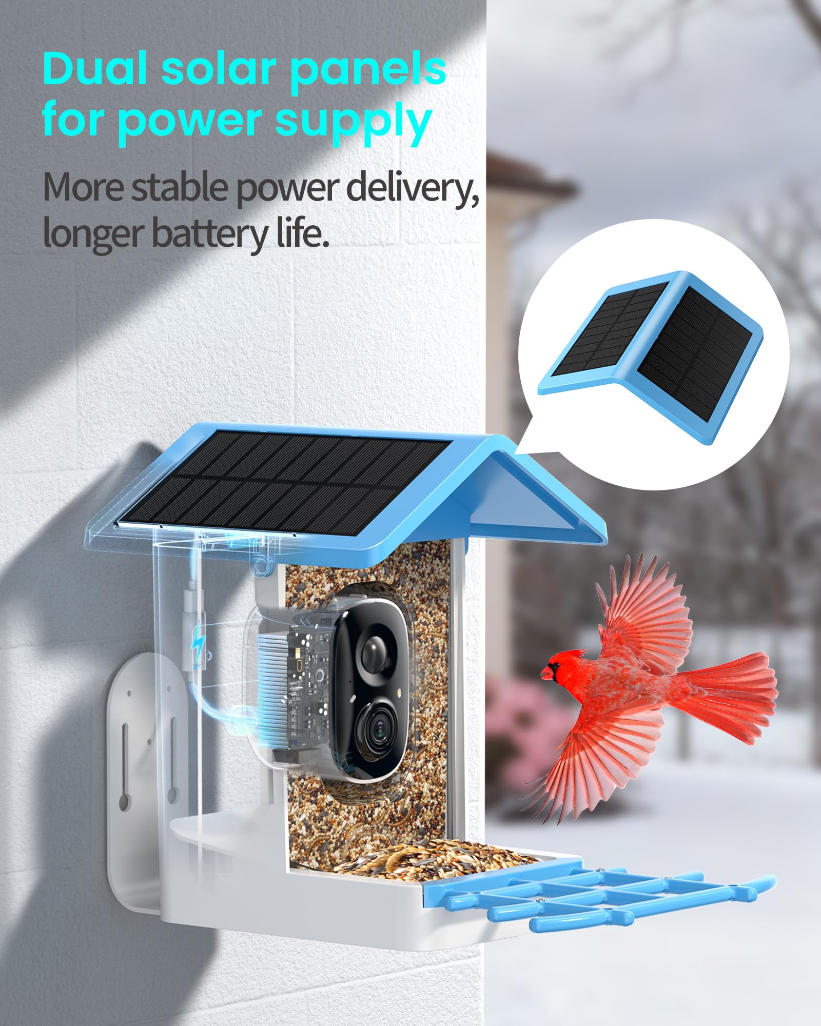 isYoung Smart Bird Feeder infrared night vision delivers discreet low-light footage