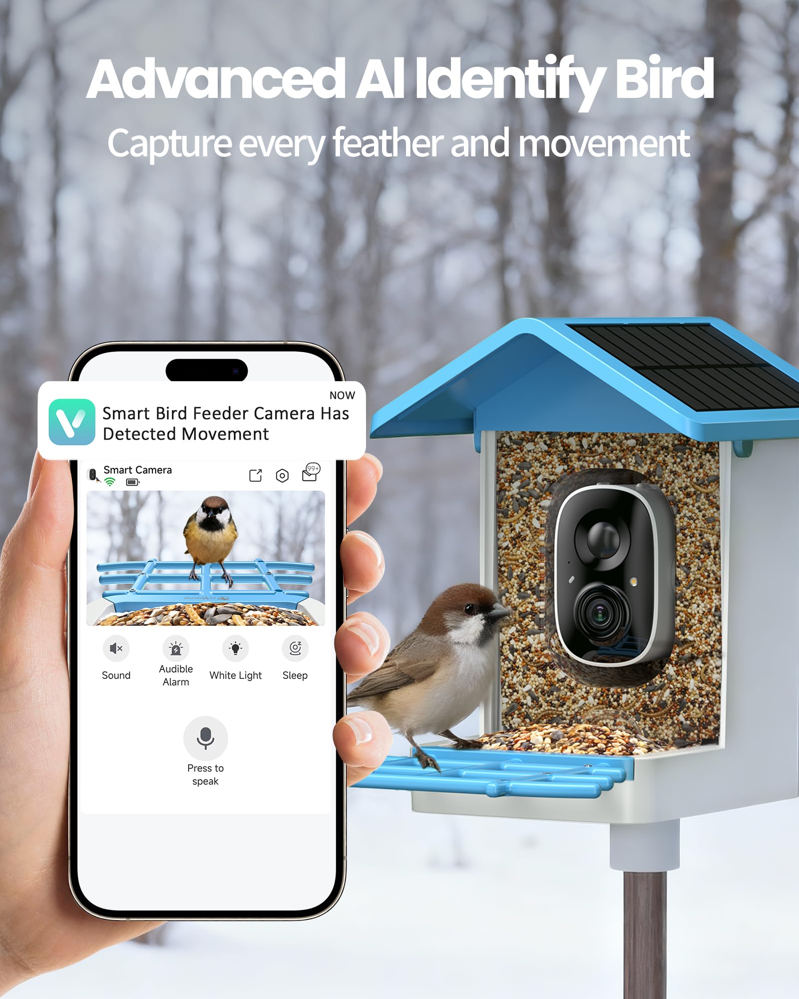 isYoung Smart Bird Feeder solar panel closeup highlighting eco-friendly outdoor power