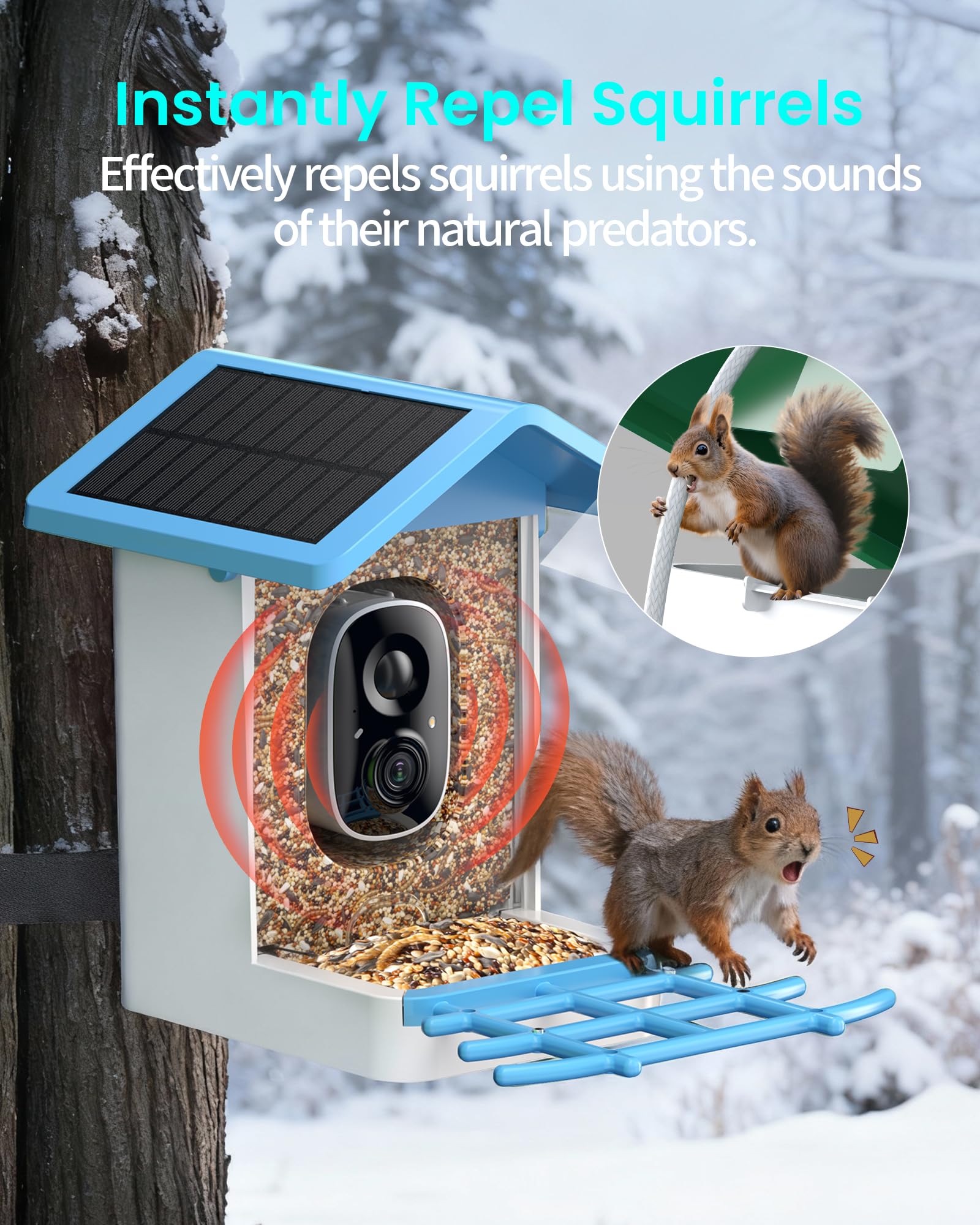 isYoung Smart Bird Feeder two-way audio lets you listen and chat