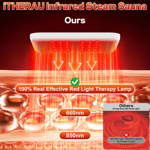 iTHERAU dual steamer setup delivering rapid heat and even steam
