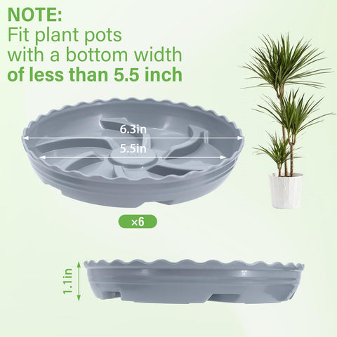 ittyfei raised ridge design enhances drainage and airflow around plants