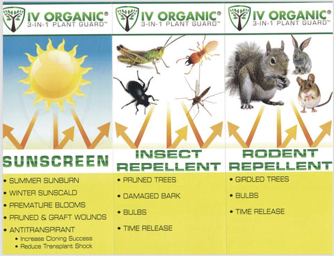 IV Organic 3-in-1 Plant Guard tree paste in action protects trunks