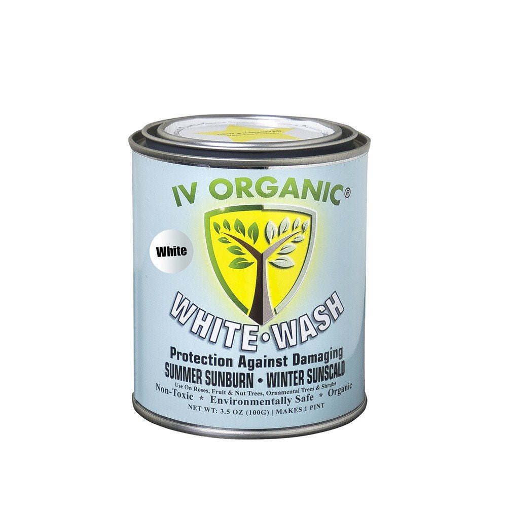 IV Organic White Wash bottle protecting roses and fruit trees from sunburn and sunscald