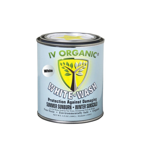 IV Organic White Wash bottle protecting roses and fruit trees from sunburn and sunscald
