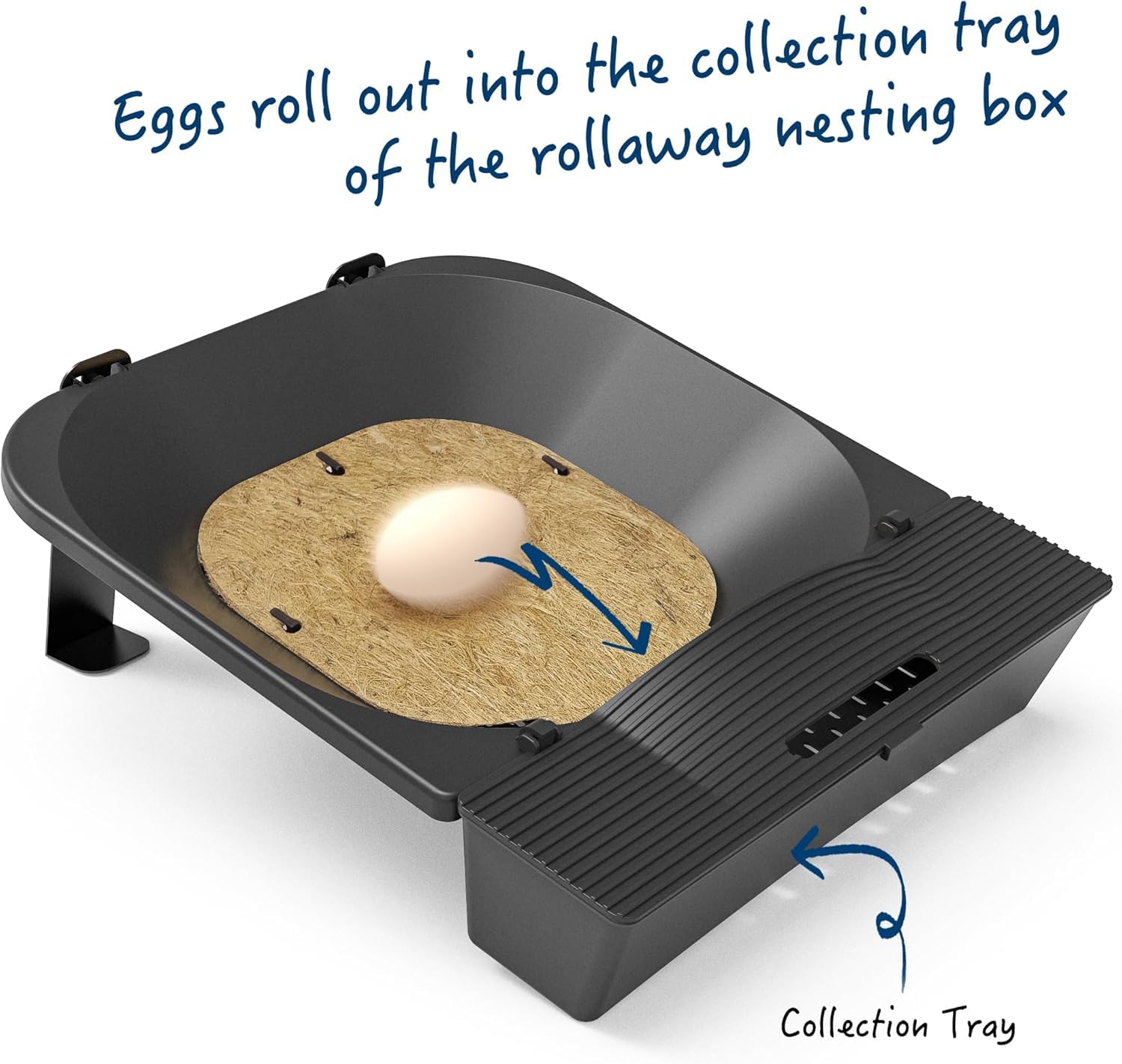 IVAHOU Nesting Box slope guides eggs to a protected collection area