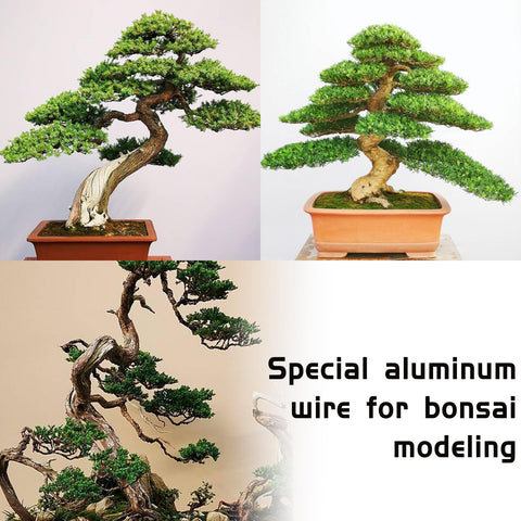 IVICOO bonsai wire suitable for beginner to advanced training scenarios