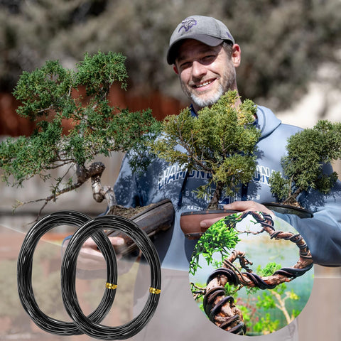 Two-roll IVICOO bonsai wire kit supporting essential training tasks