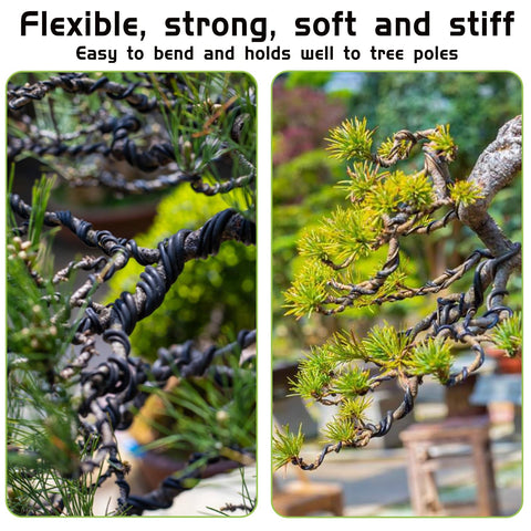 Black IVICOO bonsai wire blends with bark for discreet training visuals