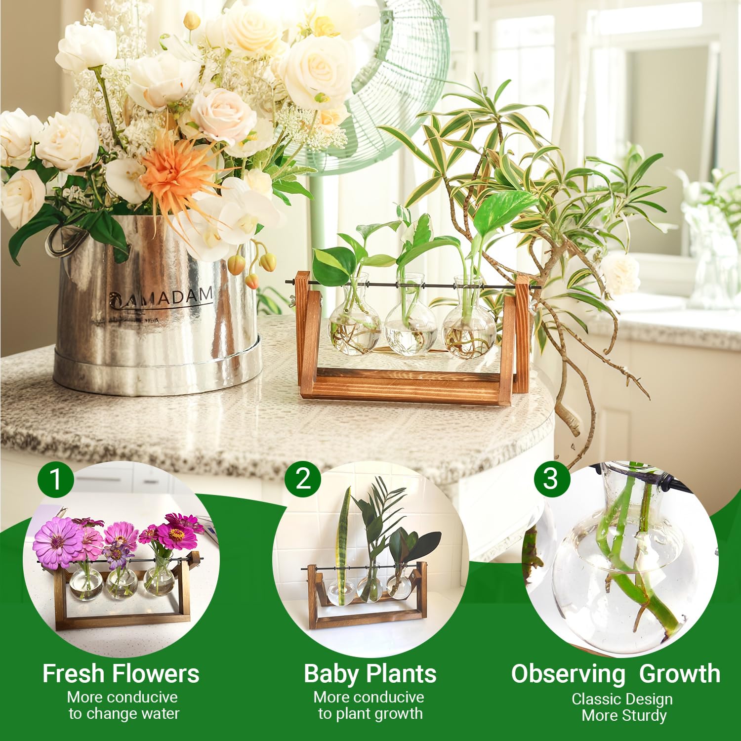 IVOLADOR I propagation station with three-bulb glass vases ideal for observing root growth.