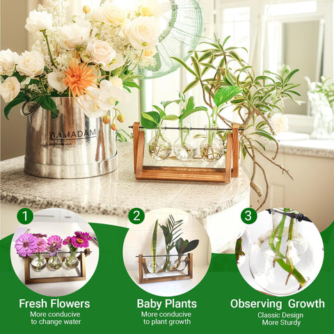 IVOLADOR I propagation station with three-bulb glass vases ideal for observing root growth.