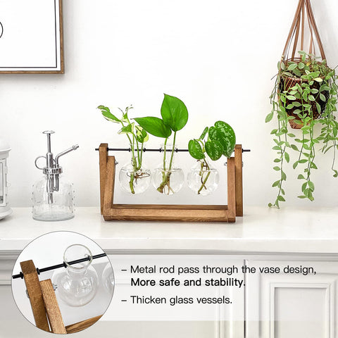 IVOLADOR I propagation station ambient scene with warm light for home décor and growth.