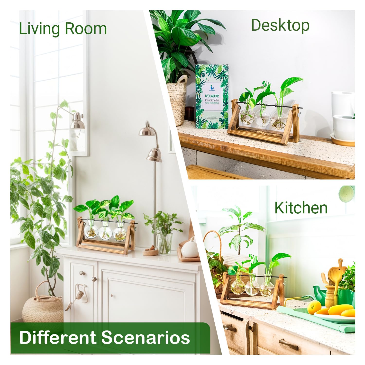 IVOLADOR I propagation station frame detail highlighting durable wood and glass bowls.