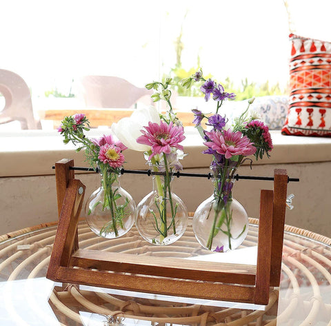 IVOLADOR I propagation station with herbs demonstrates versatile indoor gardening use.