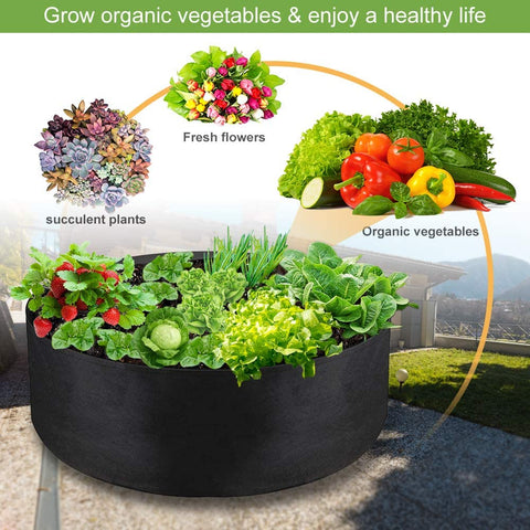 IWNTWY water drainage feature helps prevent overwatering in containers.