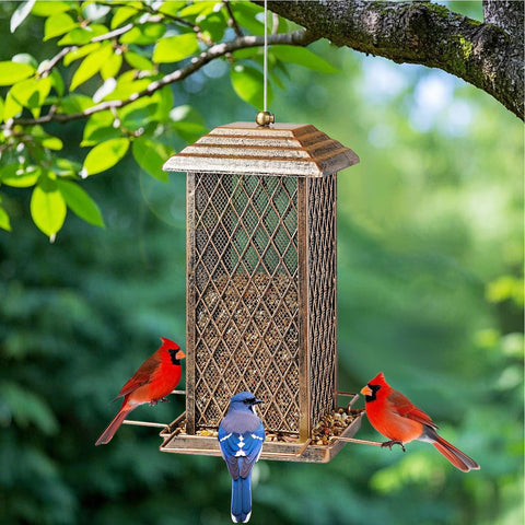 IWNTWY bird feeder drainage holes prevent waterlogging after rain.
