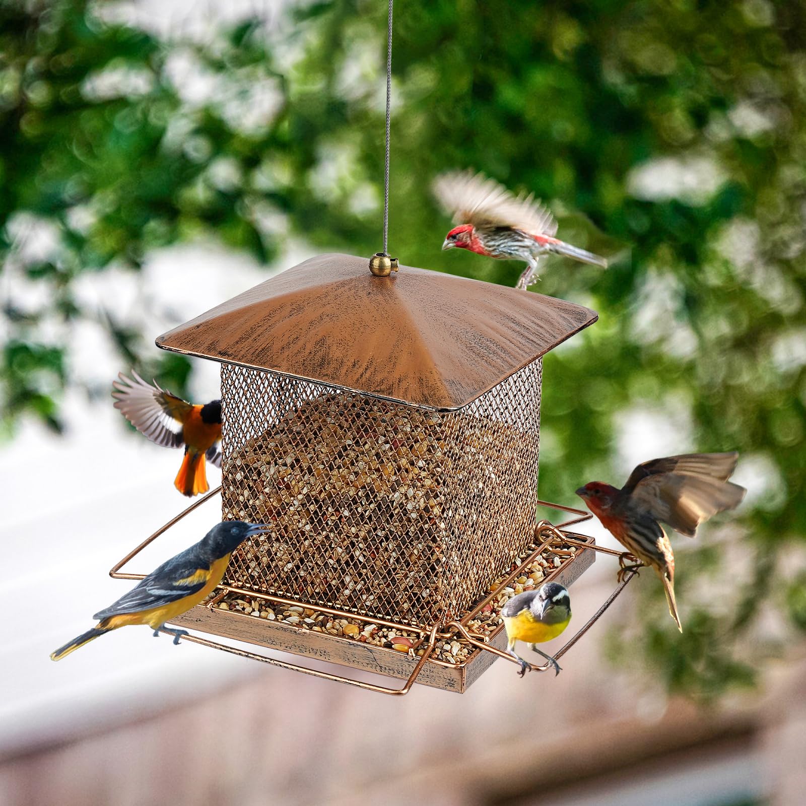 IWNTWY feeder is easy to fill and clean with a large top opening.