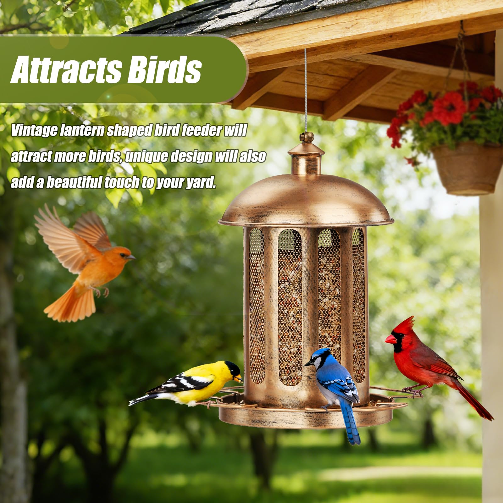 IWNTWY Bird Feeder features four perches for multiple birds.