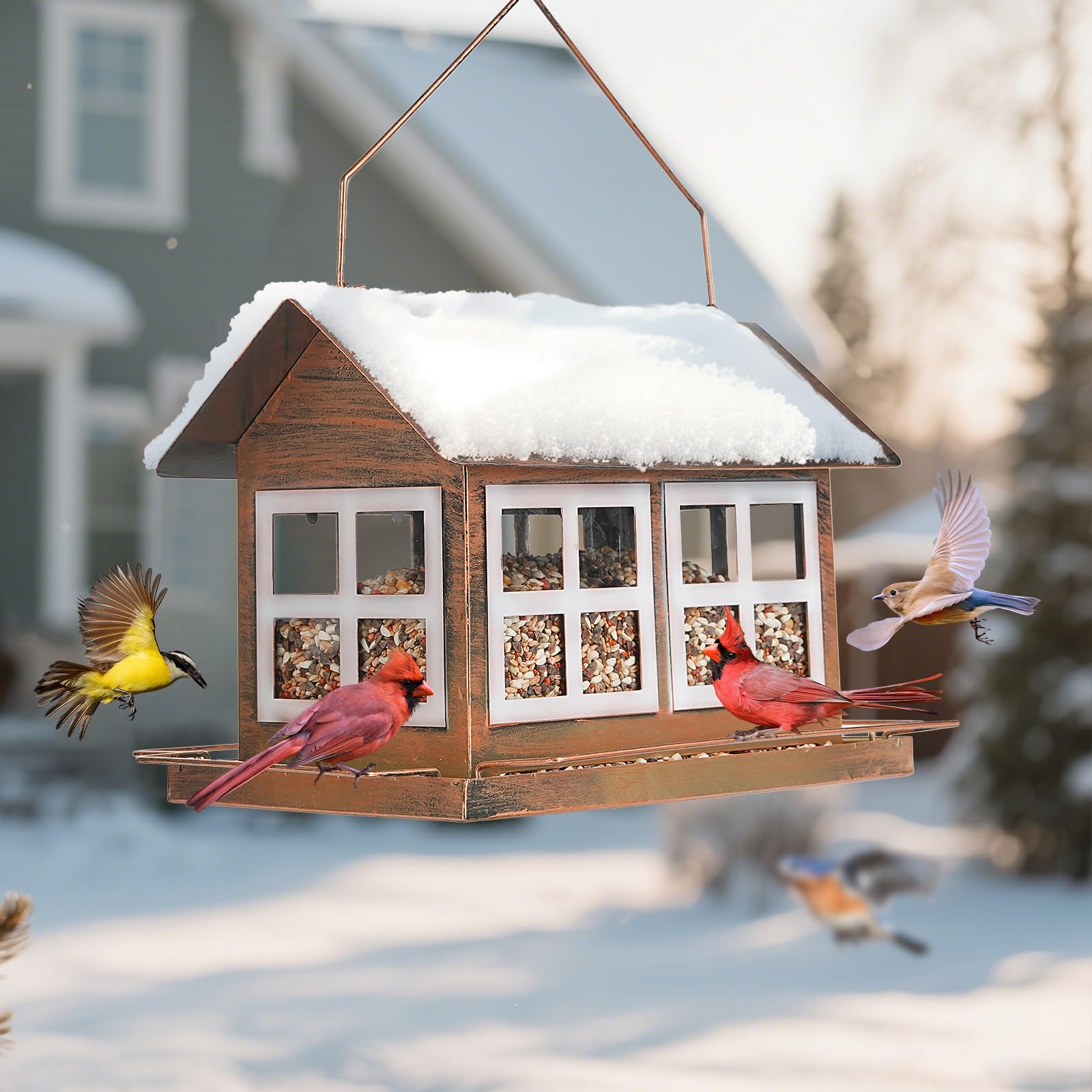 IWNTWY bird feeder hanging setup shown for yards and gardens.