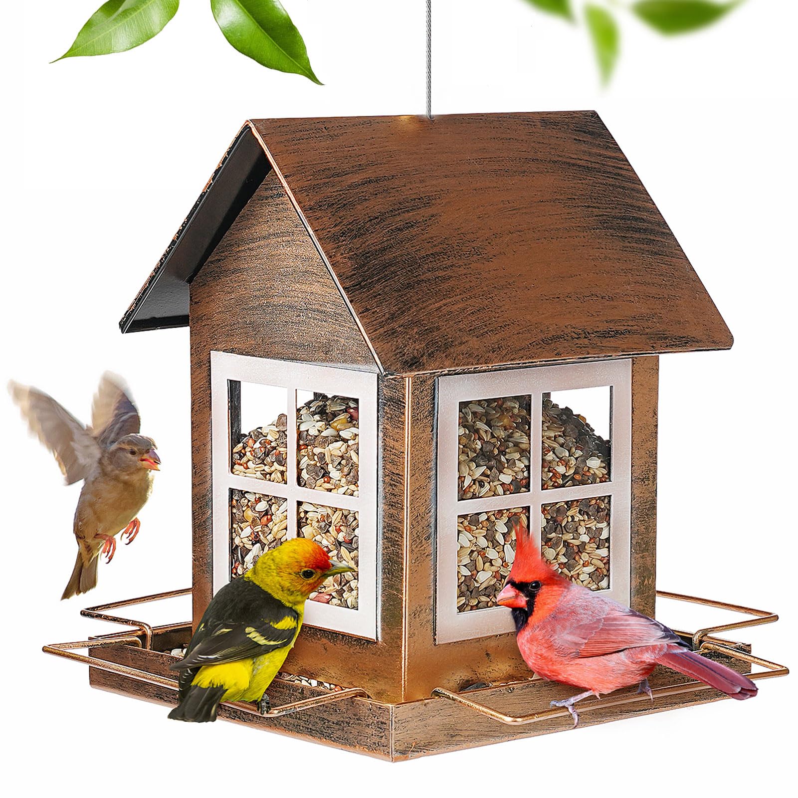 IWNTWY bird feeder in a country house design, perfect for backyard birding.