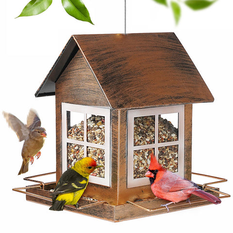IWNTWY bird feeder in a country house design, perfect for backyard birding.