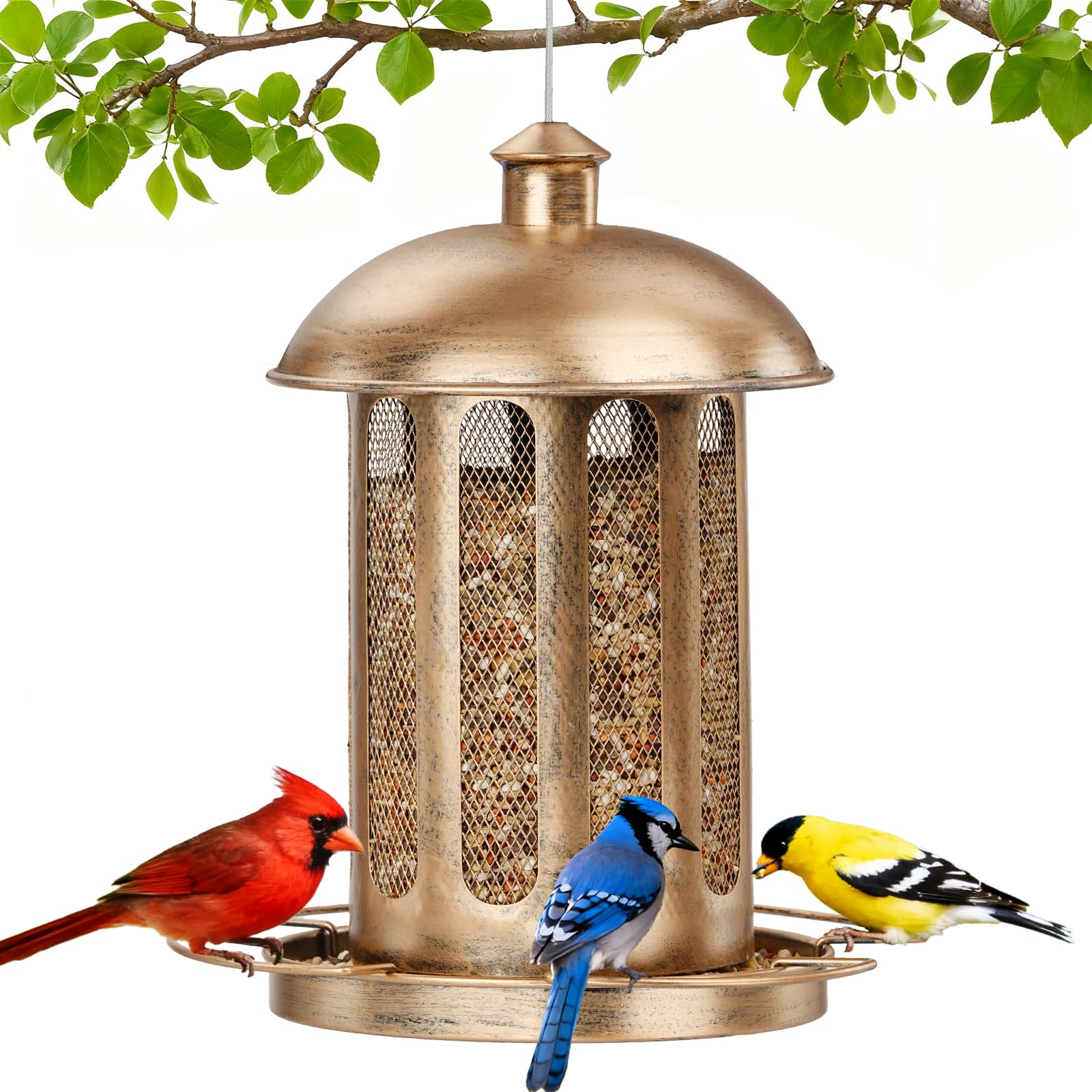 IWNTWY Bird Feeder lantern design adds vintage charm while feeding backyard birds.