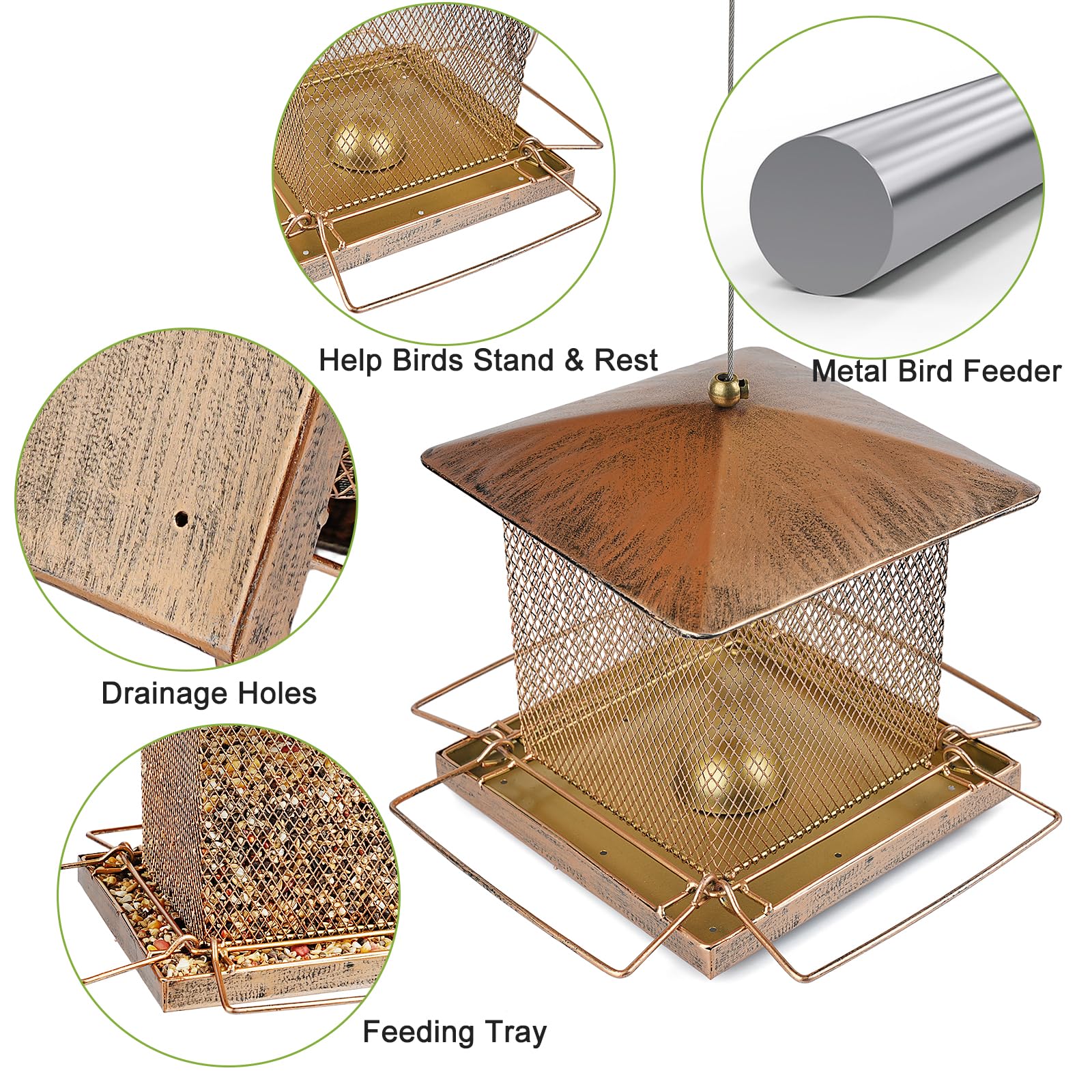 IWNTWY feeder with 3.5 lb capacity supports multiple seed types.
