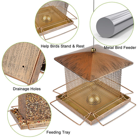 IWNTWY feeder with 3.5 lb capacity supports multiple seed types.