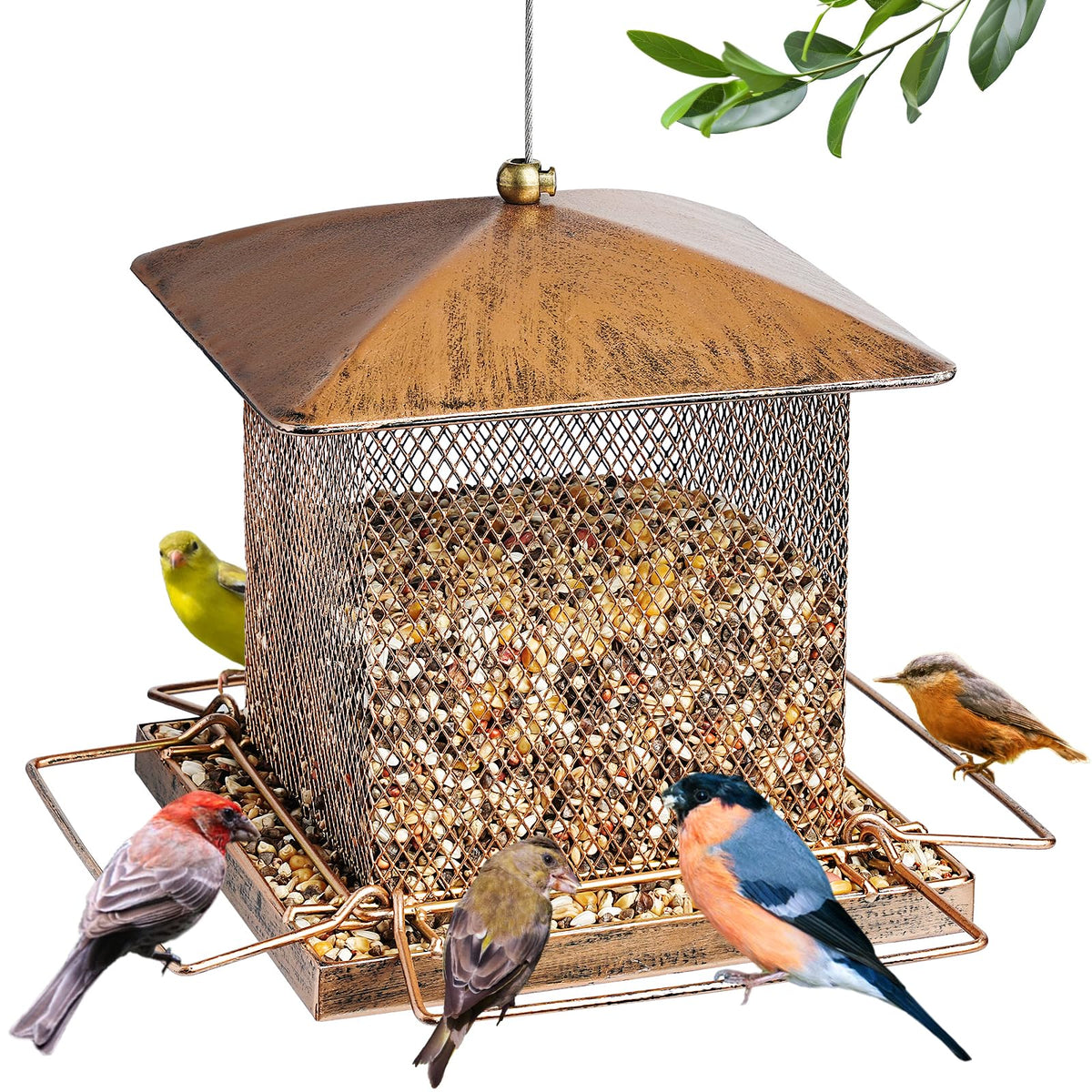 IWNTWY bird feeder with oriental classic shape for close yard bird watching.