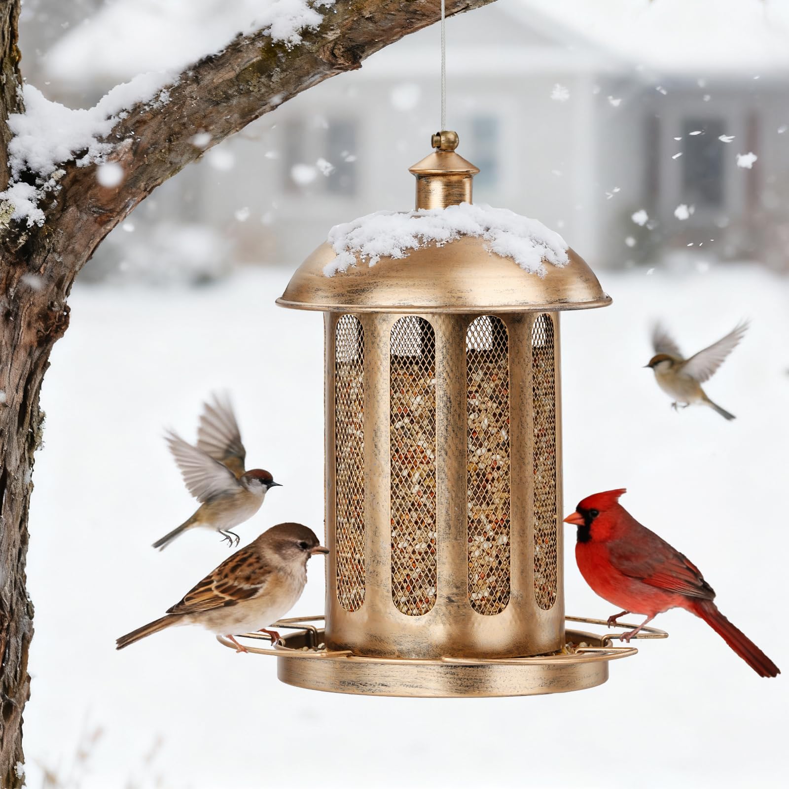 IWNTWY Bird Feeder suits outdoor gardens and yards beautifully.