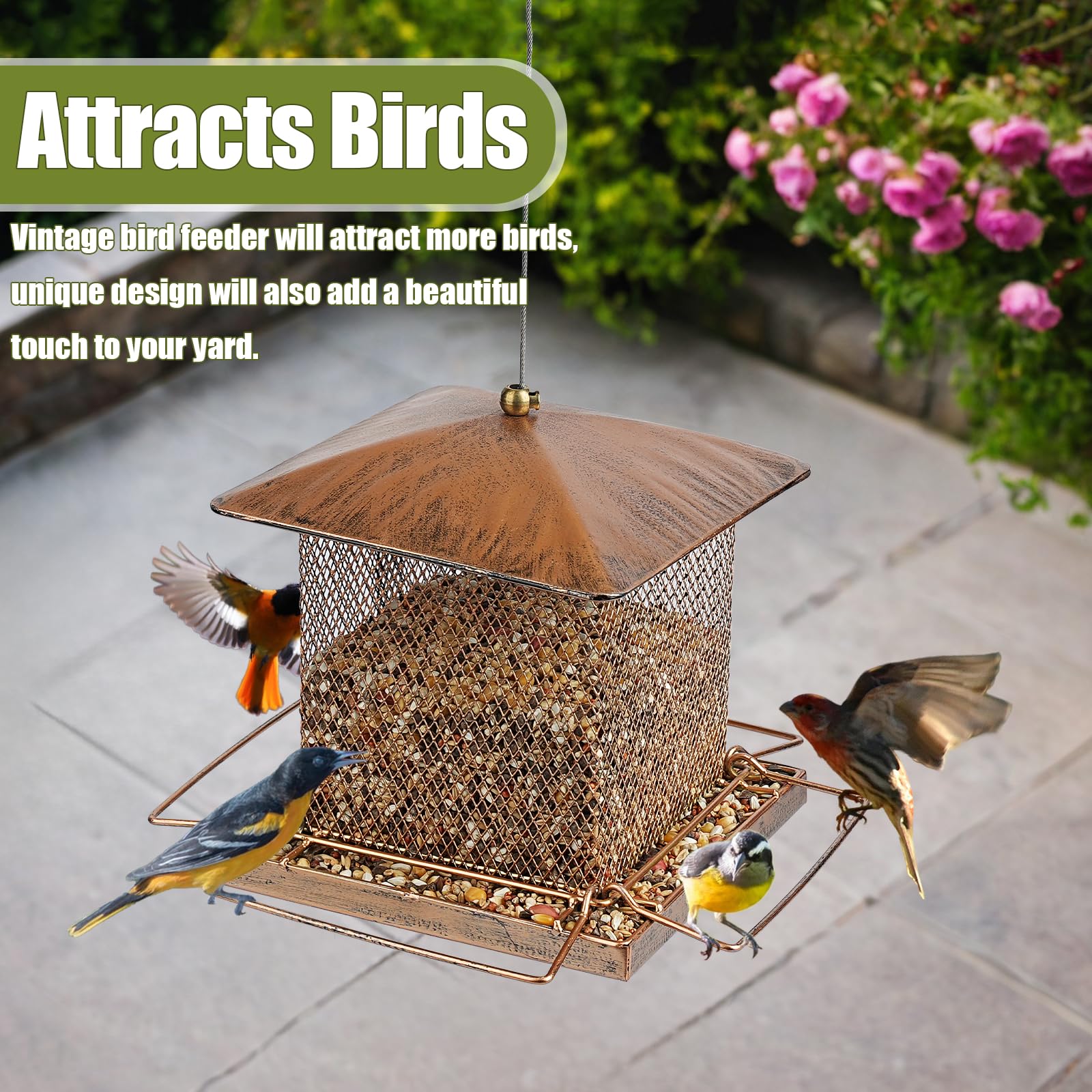 IWNTWY bird feeder with wide feeding tray attracts multiple birds.
